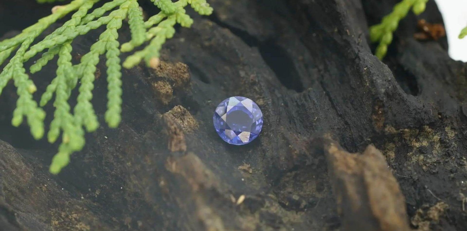 Blue Round sapphire on the rock