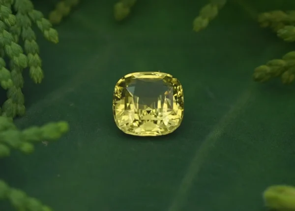 gold square sapphire in green background