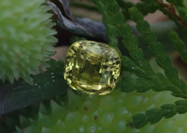 yellow sapphire in leave