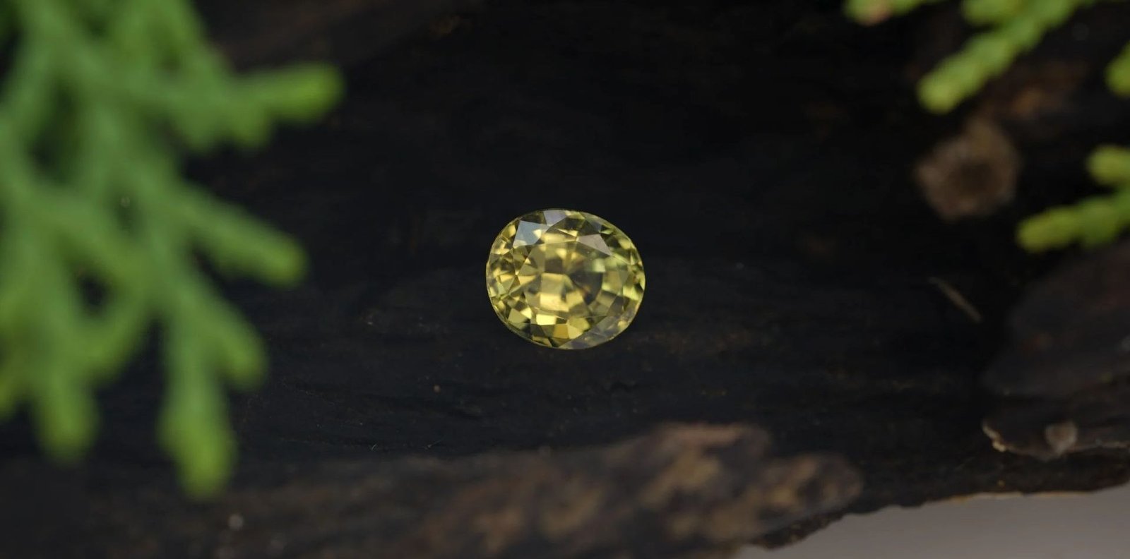 Gold Rounded Sapphire